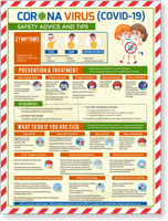 Flu Safety Advice Tips Symptoms And Prevention Poster