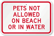 Pets Not Allowed On Beach Sign