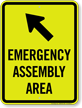 Emergency Assembly Area Upper Left Arrow Sign