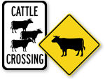 Cattle Crossing Signs