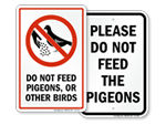 Do Not Feed Pigeons Sign