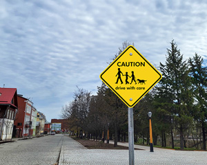 Custom Crossing Signs With Cat and Dog Symbol