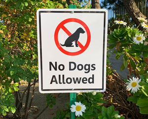 LawnBoss™ Dog Poop Signs - Stake & Kit Included!