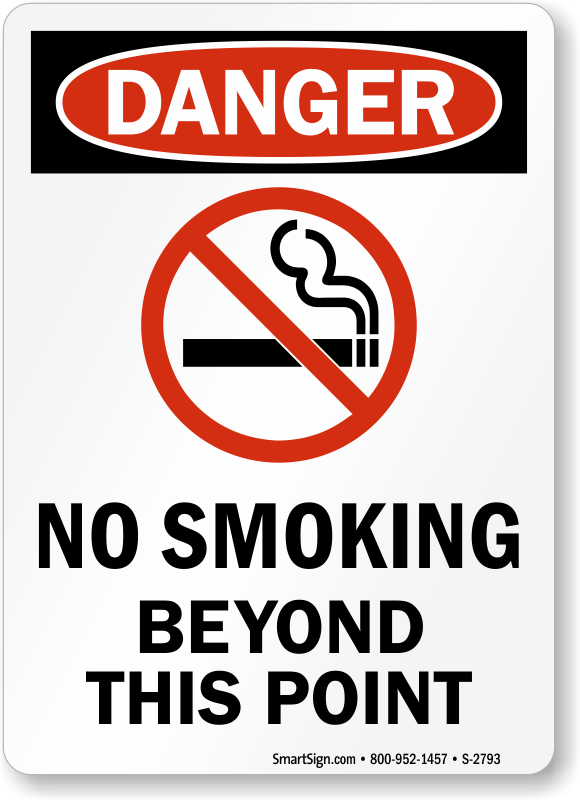 Danger No Smoking Beyond This Point Sign, Vertical, SKU S2793