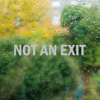 Not An Exit Vinyl Cut Glass Window Decal