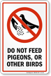 Dont Feed Pigeons or Other Birds Sign